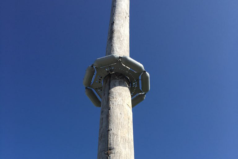 Squirrel & Woodpecker Deterring Pole Wrap Roll PW-040-1-G - Power