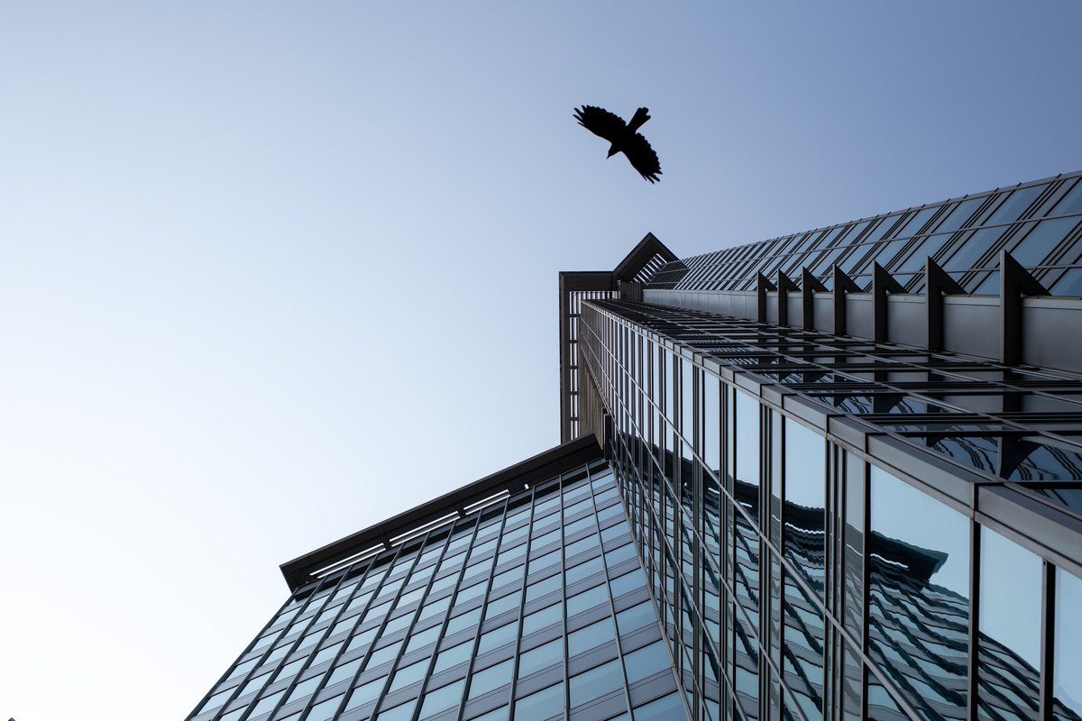 A Bird's Favorite 5 Spots at Your Building