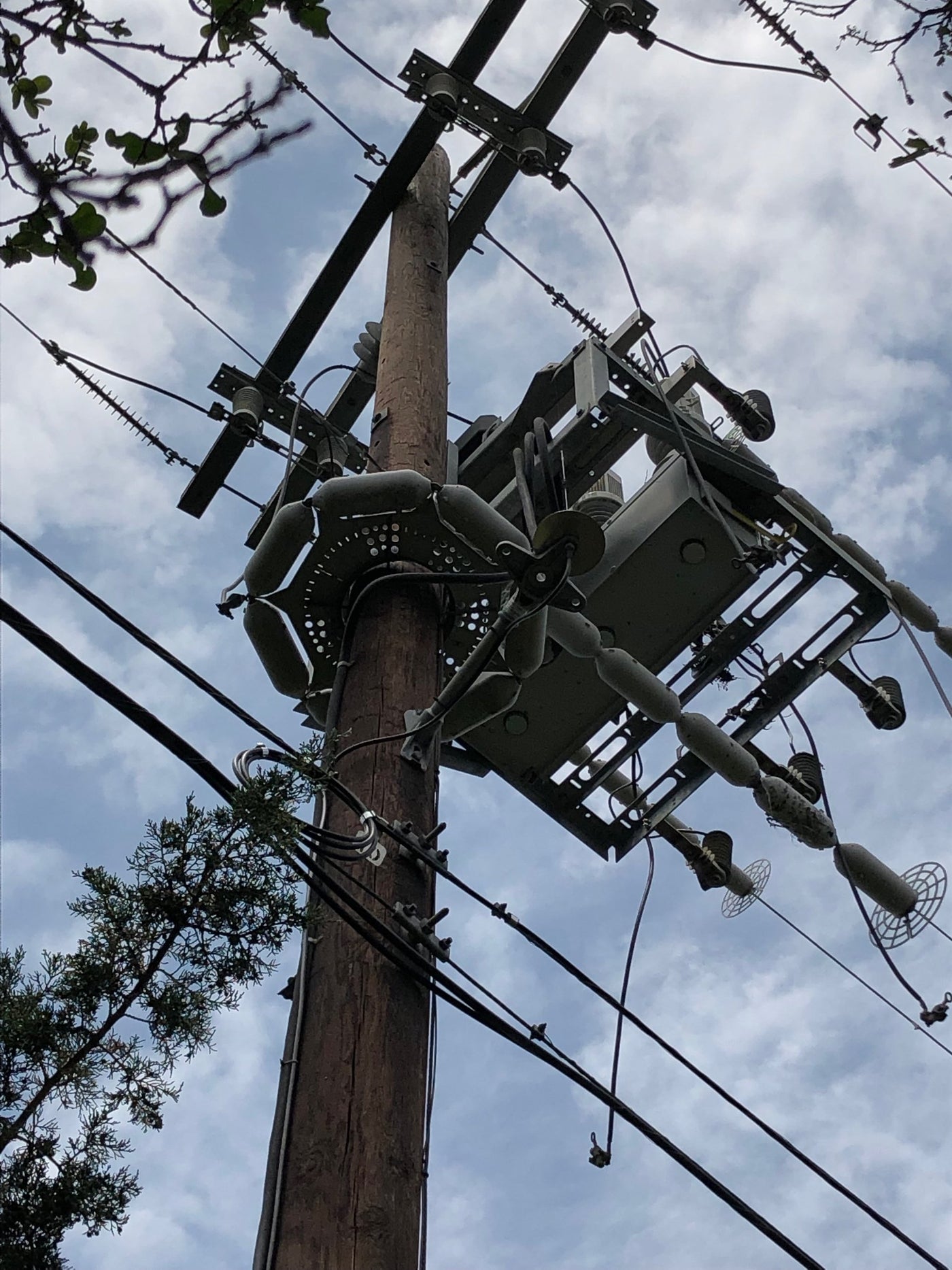 Utility Pole Guards Prevent Squirrel Access to Power Lines